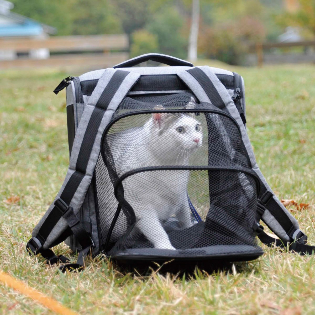 ペット用 リュックバッグ - アウトドア・キャンプ用品 - キャプテン