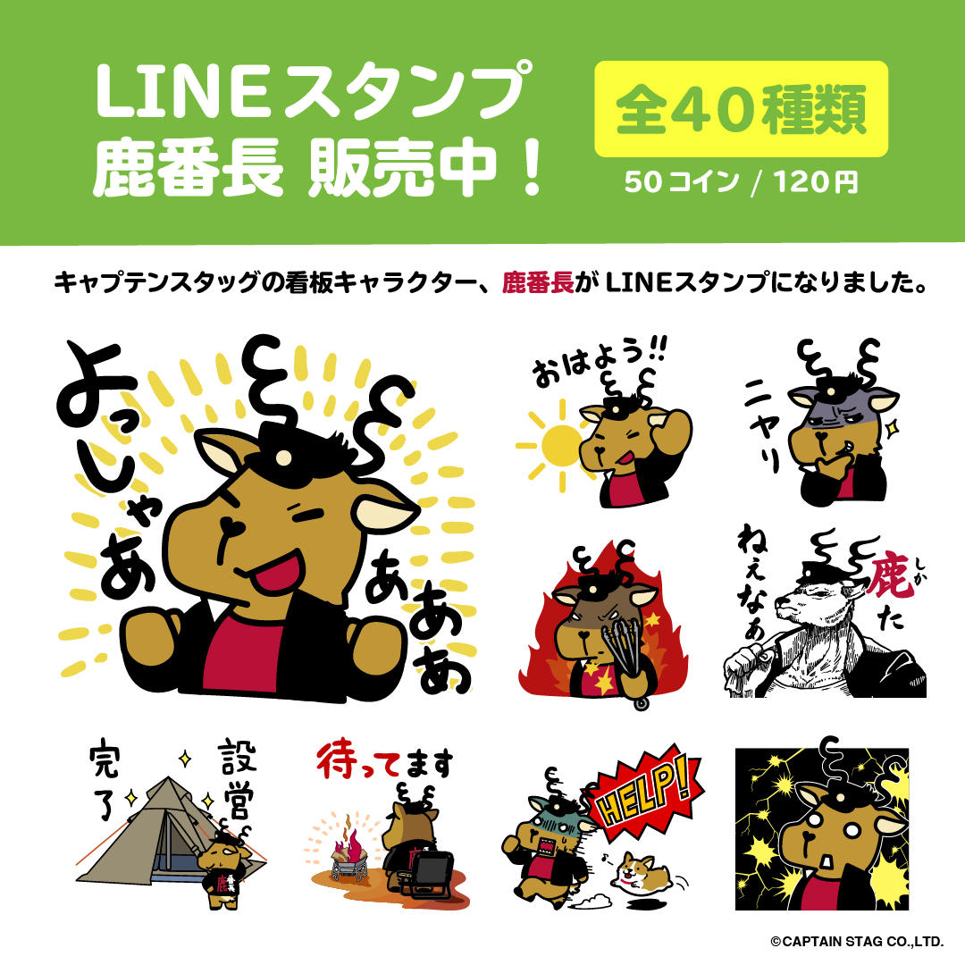 line1.jpg