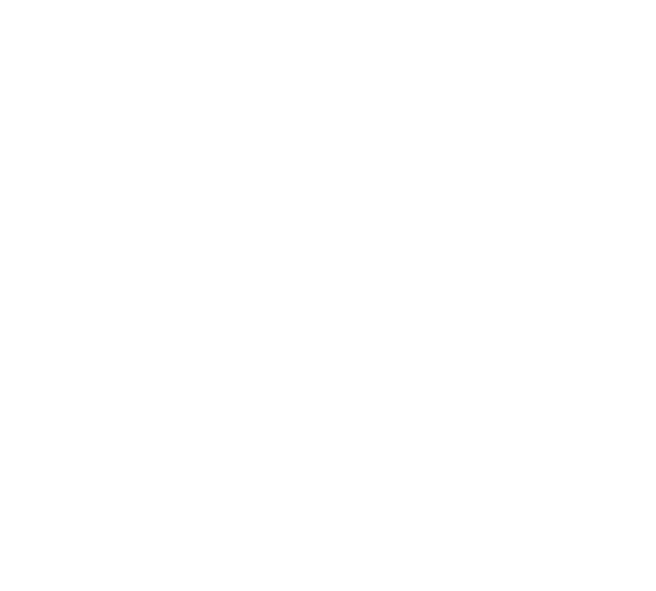 燕三条発！コラボレーション第4弾 ポータブル電源対応 石油ファンヒーター & 専用の収納バッグ